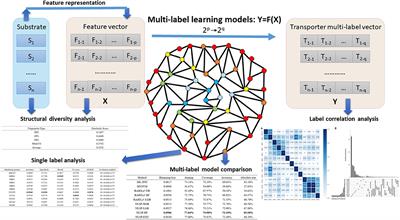 STS-NLSP: A Network-Based Label Space Partition Method for Predicting the Specificity of Membrane Transporter Substrates Using a Hybrid Feature of Structural and Semantic Similarity